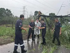 阿萨莫阿-赫尔辛基vshifk赫尔辛基